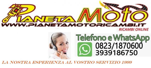 www.pianetamotoricambi.it